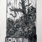 倪有鱼, 标本柜1, 木刻版画在皮纸, 版本1／5, 102 x 70cm, 2011