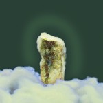 Wu Gaozhong, Brilliance 6, organic compound and photograph. 75 x 60cm, 2003 