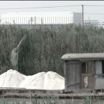 Li Xiaofei, “Salt,” HD video, audio, color, PAL, with English subtitles, 7”24’, 2013