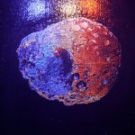 史晶,小行星4号,布面油画