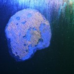 史晶，智神星，布面油画，20 X 30 cm， 2012