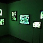 陈航峰 . 入侵物种：蔬菜们 2010 文字动画 (时间长度:4’03”), 声音，照片, 灯箱, LED, 控制器, 同步