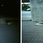 A Sleeping Man on the Roadside, photograph, 25 cm ×15 cm × 2 photographs, 2011