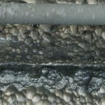 Assembly Line-04, video, 02,00mins, 2012