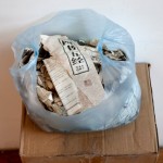 Wu Gaozhong,  Book,  Me,  Rain,  Dog,  book,  2012 