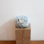 Wu Gaozhong,  Book,  Me,  Rain,  Dog,  book,  2012 