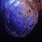 Vesta (back side), oil on canvas, 19 X 23.8 cm, 2012