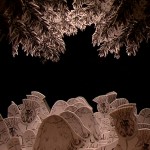 Savinder Bual, “Follis Arboreus,” pencil drawings layered within the folds of a concertina, DV PAL, 2'41'', looped, 2010