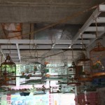 李牧，"仇庄项目—一个分散在农村的美术馆", 微喷哑光纸在铝板上，丝印布料，75 X 10cm, 2013