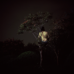 Liao Wenfeng A Man on the Tree, Photograph, 80cm×80cm, 2011