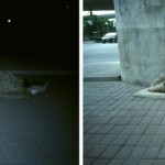 Liao Wenfeng, A Sleeping Man on the Wayside, Photograph, 25cm×15cm×2pieces ,2011